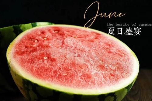 娱乐吃瓜教程,轻松吃瓜教程，让你轻松成为娱乐圈小达人  第1张